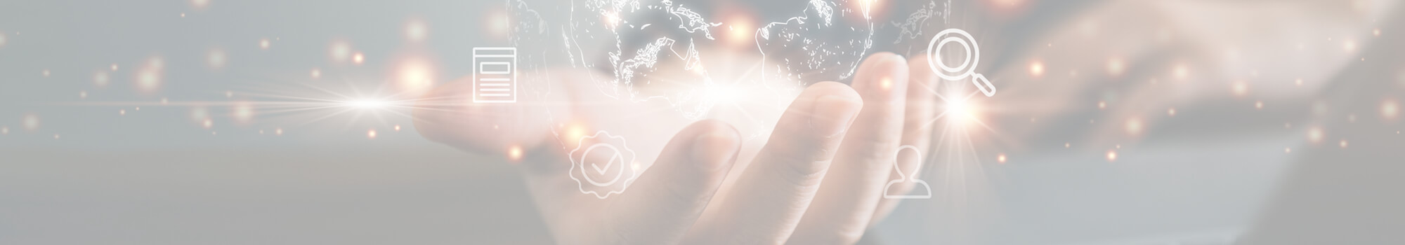 採択実績・採択事例